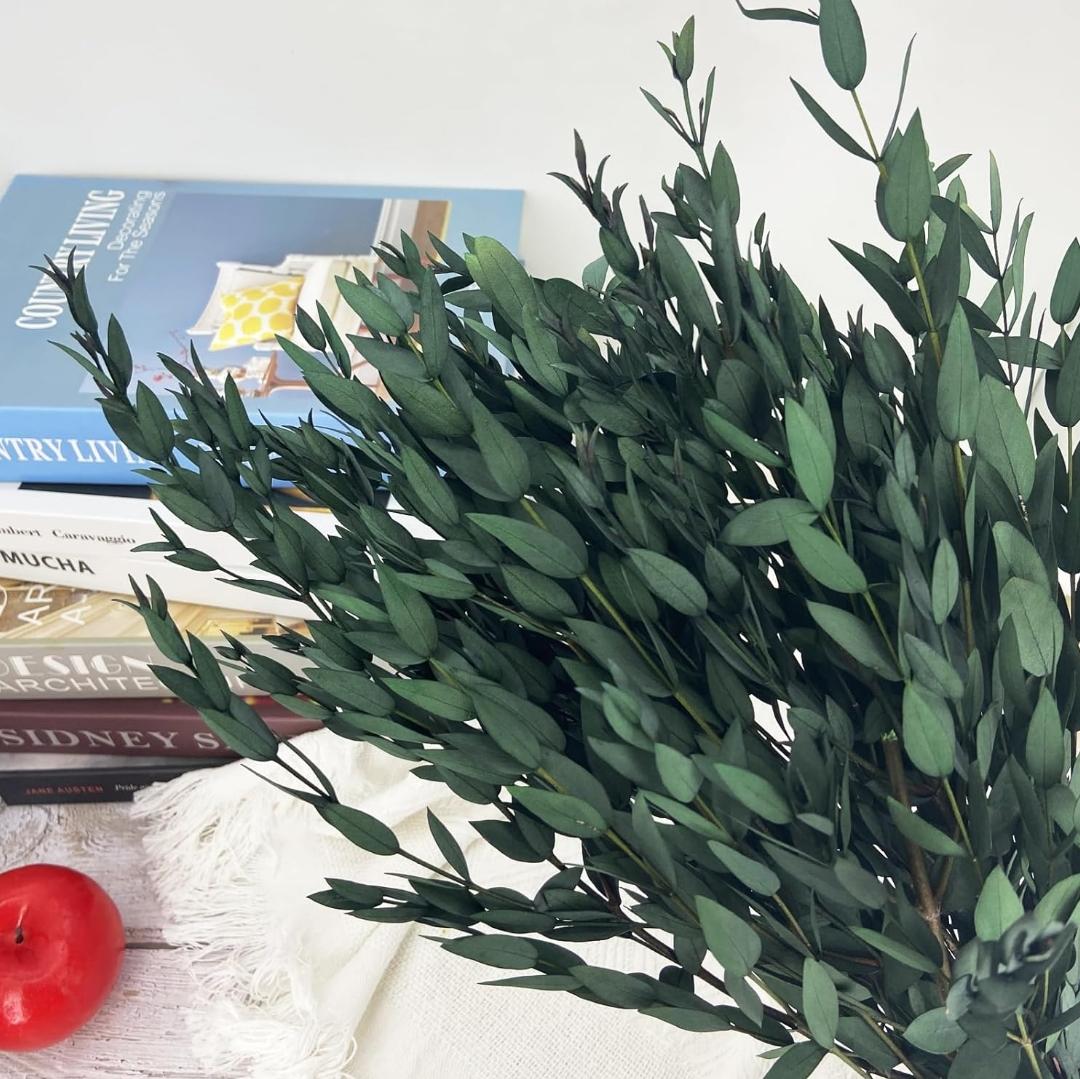 Bakewareind Dried Dollar Eucalyptus Leaves Preserved, Green - Bakeware India