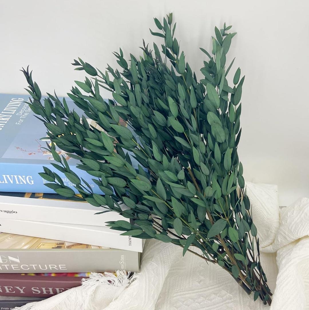 Bakewareind Dried Dollar Eucalyptus Leaves Preserved, Green - Bakeware India