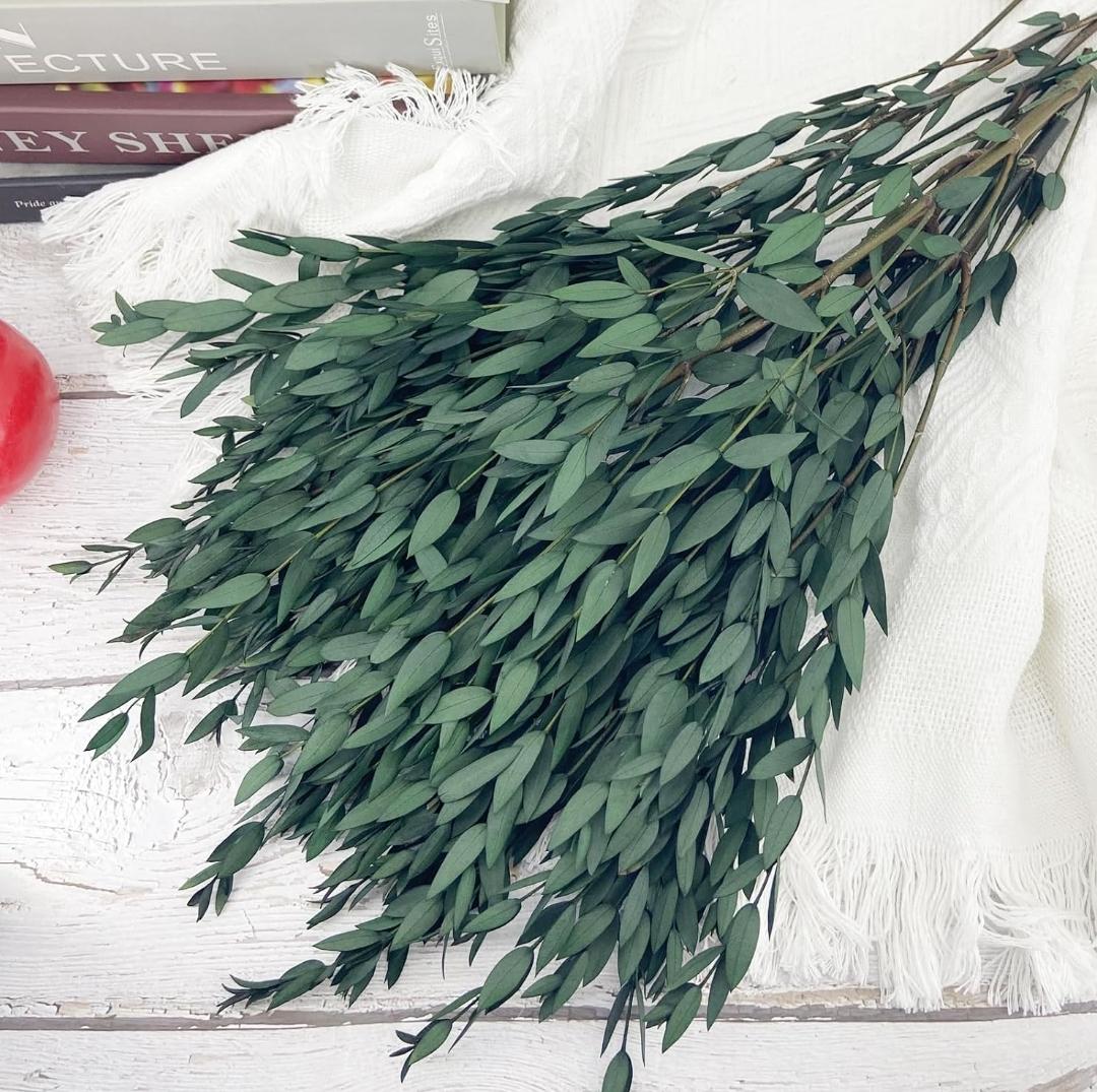 Bakewareind Dried Dollar Eucalyptus Leaves Preserved, Green - Bakeware India