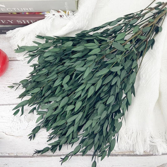 Bakewareind Dried Dollar Eucalyptus Leaves Preserved, Green - Bakeware India