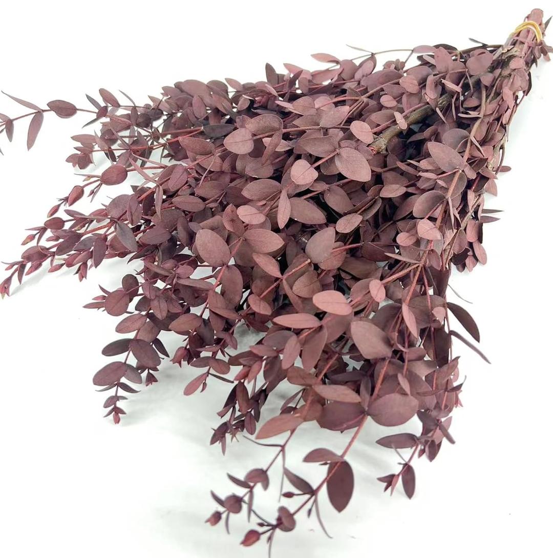 Bakewareind Dried Dollar Eucalyptus Leaves Preserved, Red - Bakeware India
