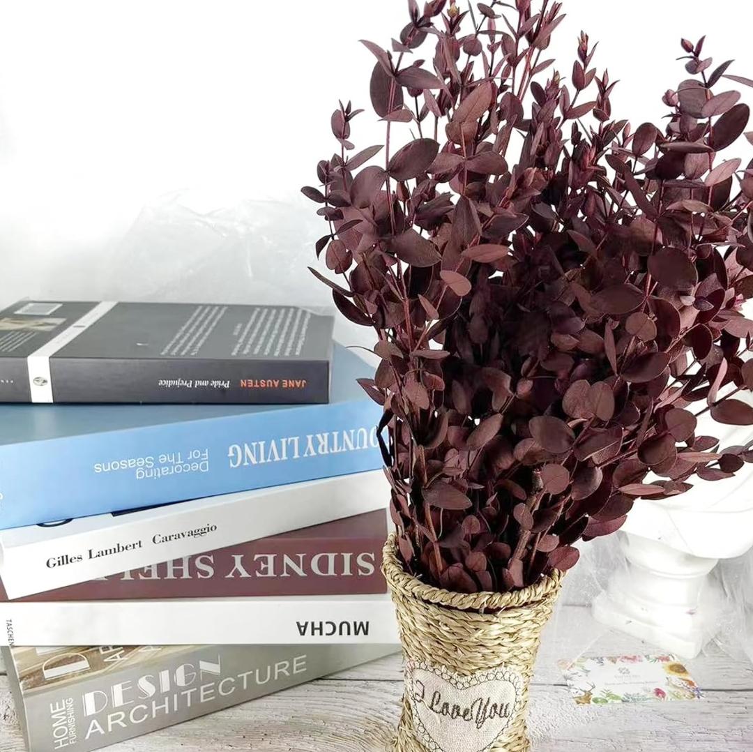 Bakewareind Dried Dollar Eucalyptus Leaves Preserved, Red - Bakeware India