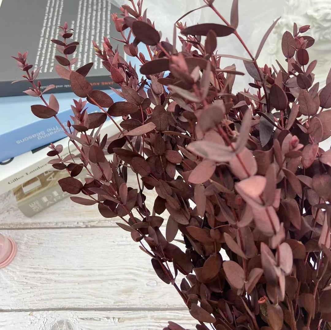 Bakewareind Dried Dollar Eucalyptus Leaves Preserved, Red - Bakeware India