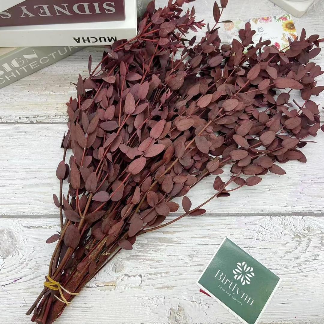 Bakewareind Dried Dollar Eucalyptus Leaves Preserved, Red - Bakeware India