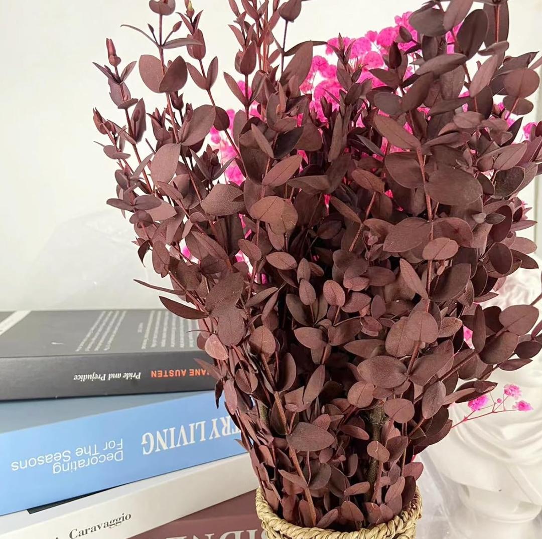 Bakewareind Dried Dollar Eucalyptus Leaves Preserved, Red - Bakeware India