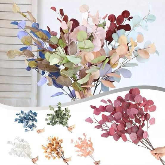 Bakewareind Dried Doller Eucalyptus Leaves Preserved [ Select colors ] - Bakeware India