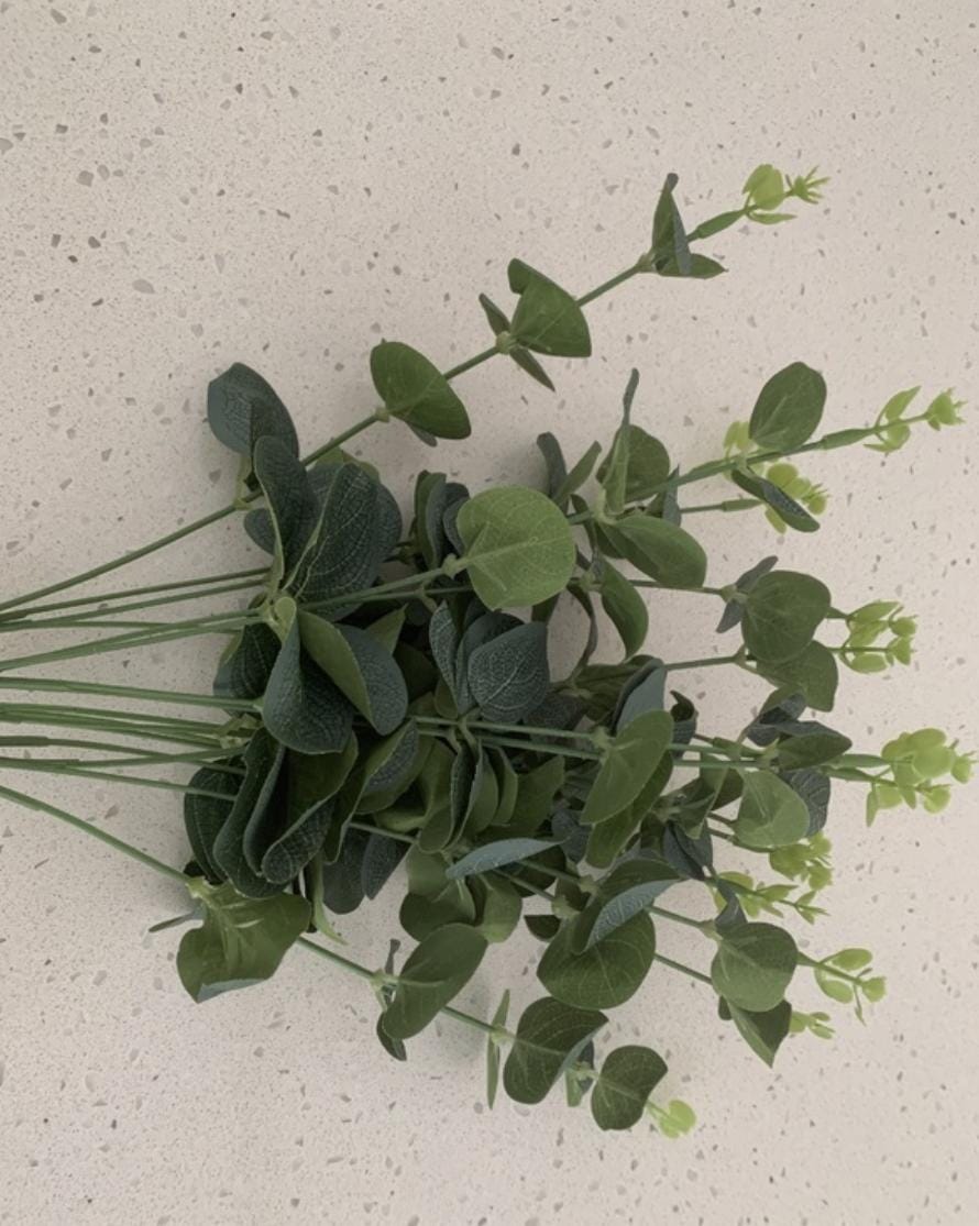 Bakewareind Dried Doller Eucalyptus Leaves Preserved [ Select colors ] - Bakeware India