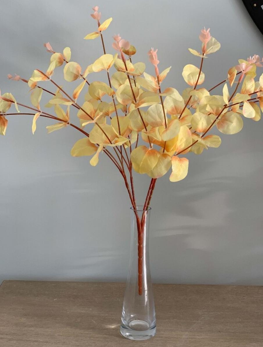 Bakewareind Dried Doller Eucalyptus Leaves Preserved [ Select colors ] - Bakeware India