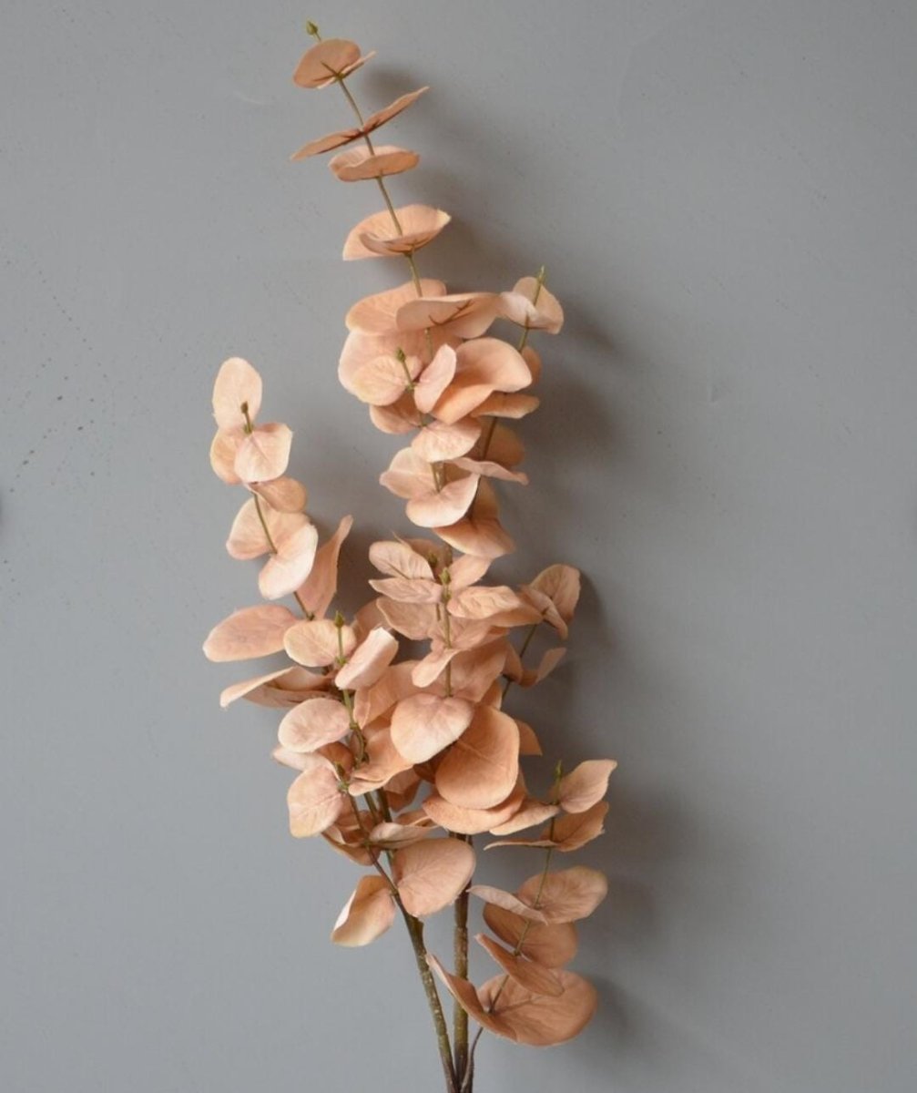 Bakewareind Dried Doller Eucalyptus Leaves Preserved [ Select colors ] - Bakeware India