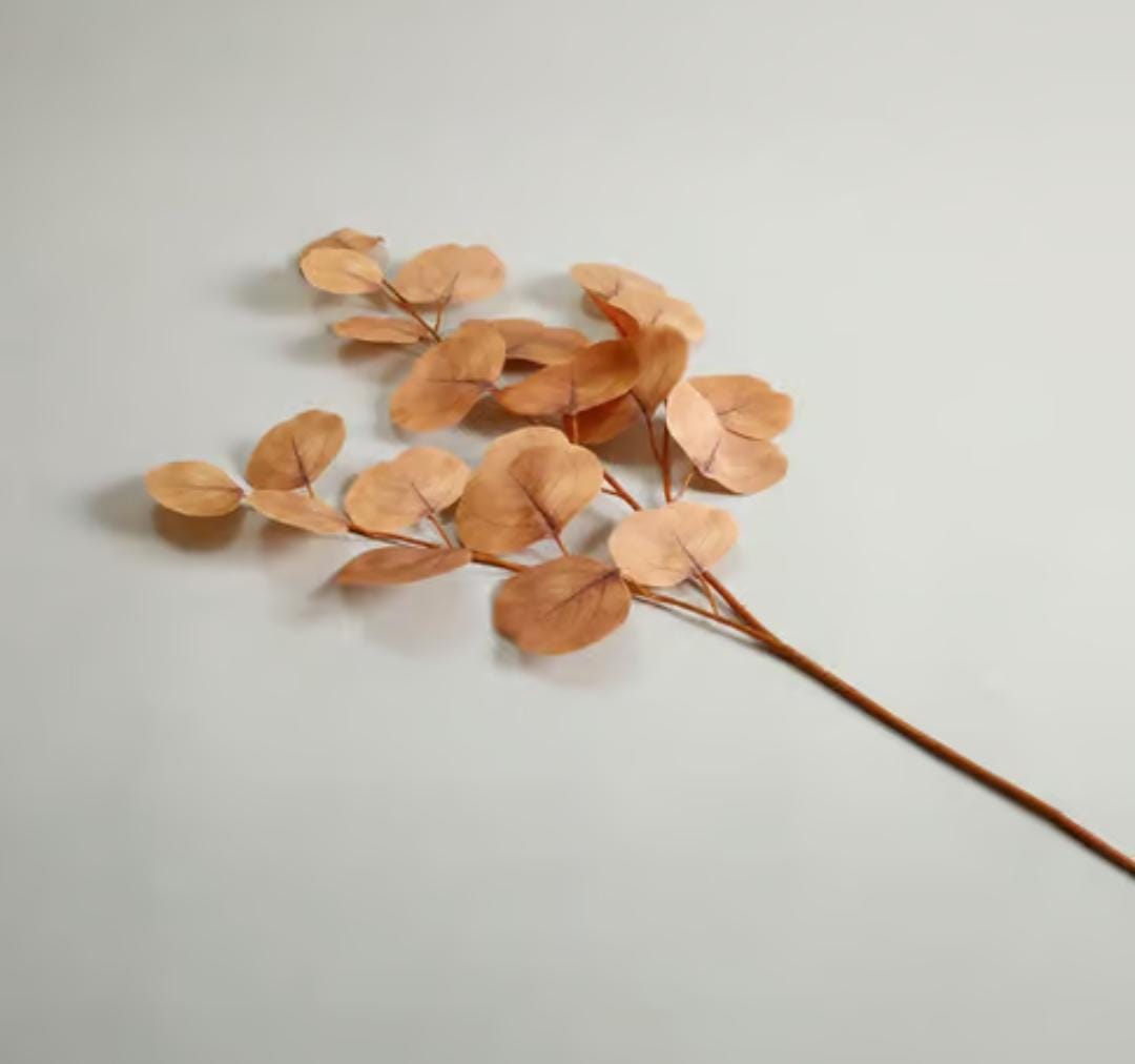 Bakewareind Dried Doller Eucalyptus Leaves Preserved [ Select colors ] - Bakeware India