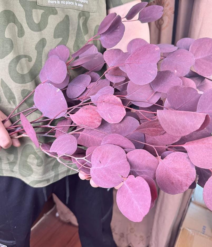 Bakewareind Dried Doller Eucalyptus Leaves Preserved [ Select colors ] - Bakeware India