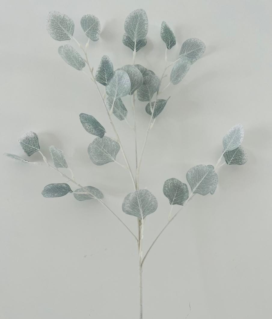 Bakewareind Dried Doller Eucalyptus Leaves Preserved [ Select colors ] - Bakeware India