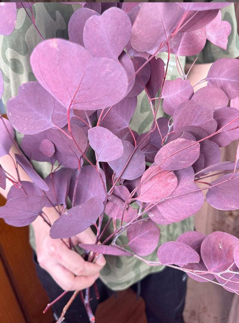 Bakewareind Dried Doller Eucalyptus Leaves Preserved [ Select colors ] - Bakeware India
