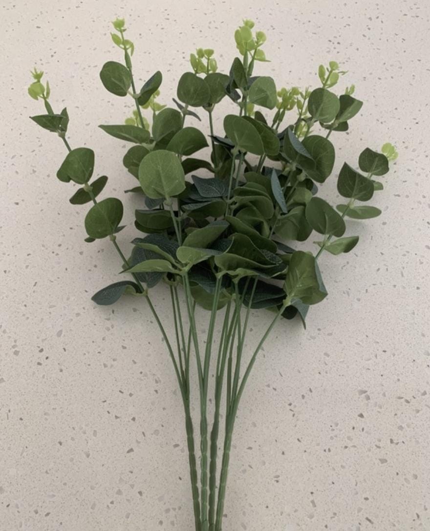 Bakewareind Dried Doller Eucalyptus Leaves Preserved [ Select colors ] - Bakeware India