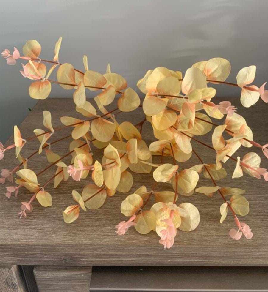 Bakewareind Dried Doller Eucalyptus Leaves Preserved [ Select colors ] - Bakeware India