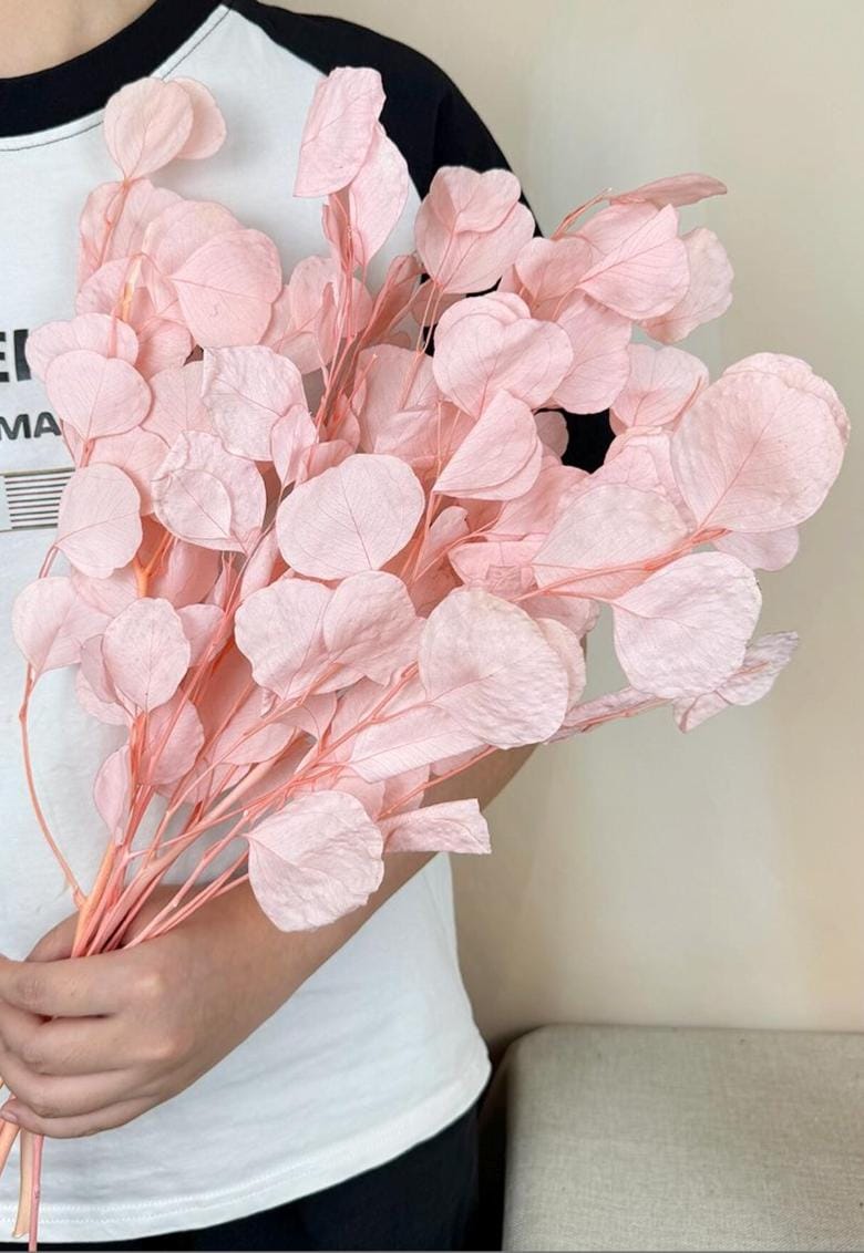 Bakewareind Dried Doller Eucalyptus Leaves Preserved [ Select colors ] - Bakeware India