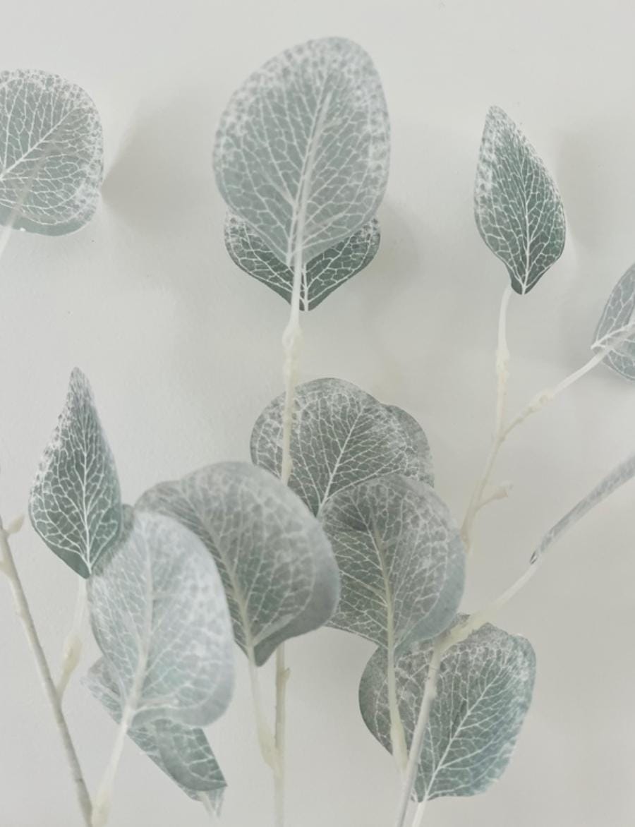 Bakewareind Dried Doller Eucalyptus Leaves Preserved [ Select colors ] - Bakeware India