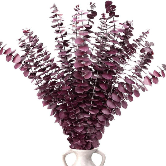 Bakewareind Dried Eucalyptus Leaves Preserved, Red - Bakeware India