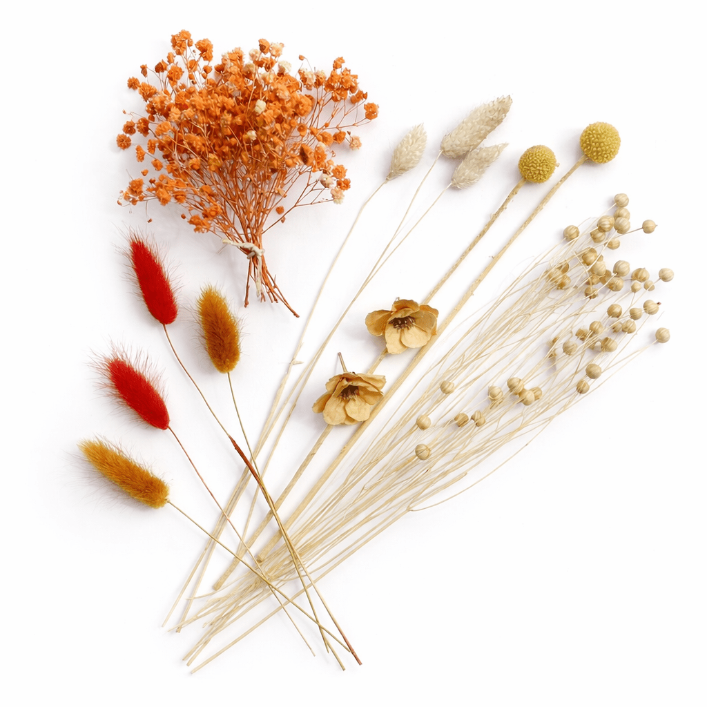 Bakewareind Dried Flower Premium Mix Pack - Bakeware India