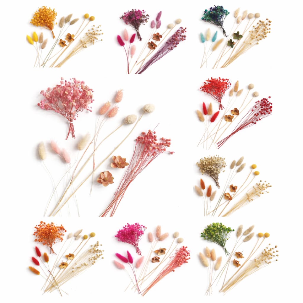Bakewareind Dried Flower Premium Mix Pack - Bakeware India