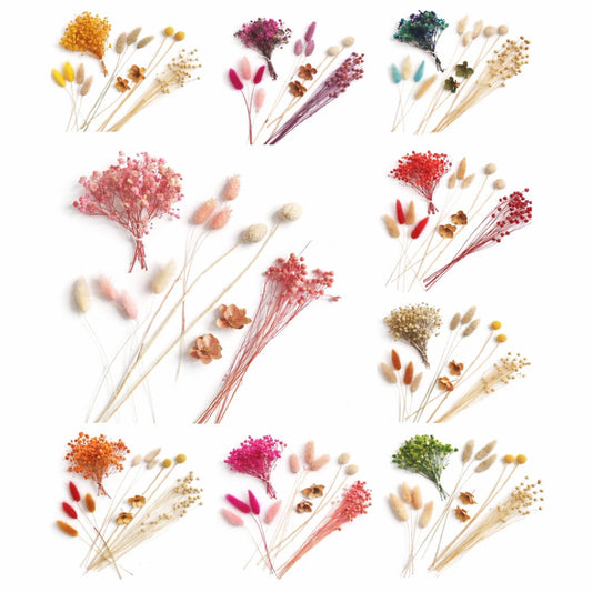 Bakewareind Dried Flower Premium Mix Pack - Bakeware India