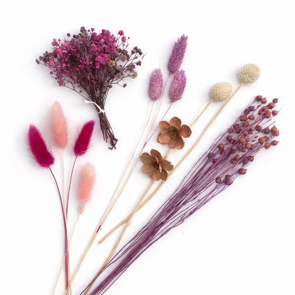 Bakewareind Dried Flower Premium Mix Pack - Bakeware India