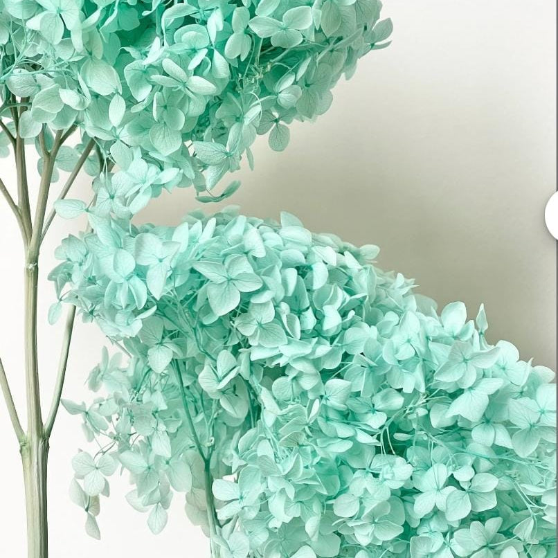 Bakewareind Dried Hydrangeas Leaves Preserved, Aqua Blue - Bakeware India
