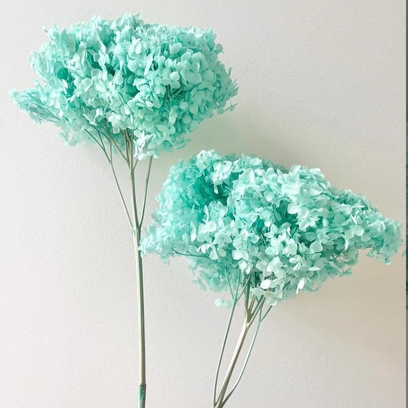Bakewareind Dried Hydrangeas Leaves Preserved, Aqua Blue - Bakeware India