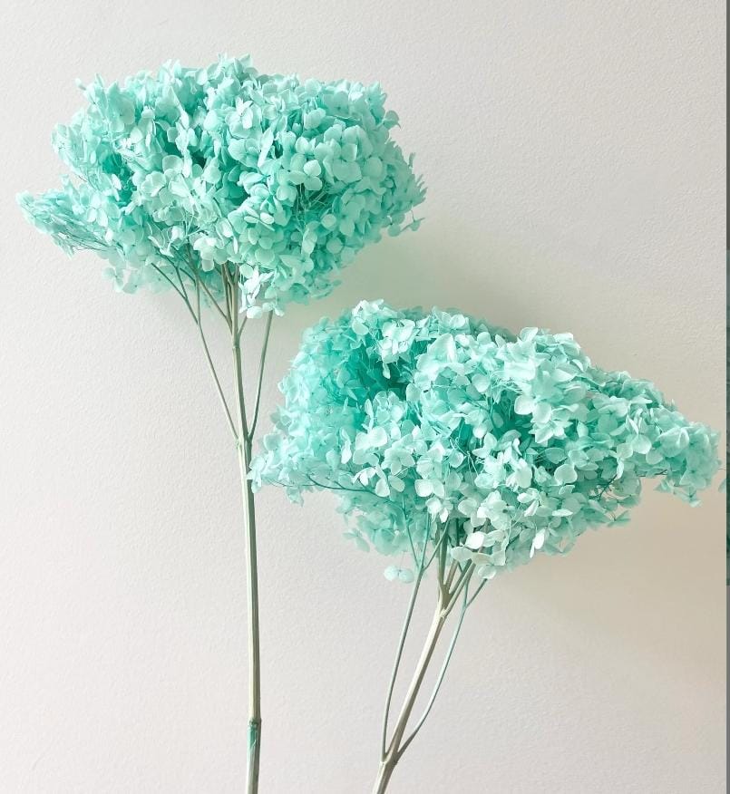 Bakewareind Dried Hydrangeas Leaves Preserved, Aqua Blue - Bakeware India