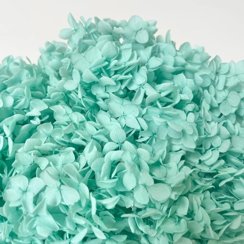 Bakewareind Dried Hydrangeas Leaves Preserved, Aqua Blue - Bakeware India