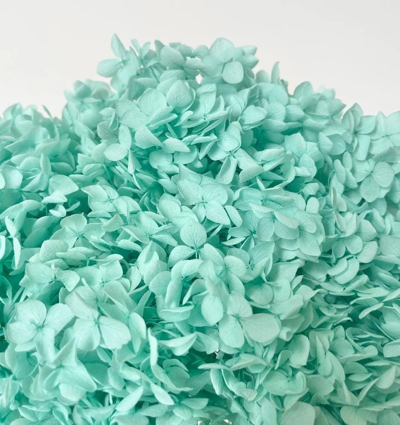 Bakewareind Dried Hydrangeas Leaves Preserved, Aqua Blue - Bakeware India