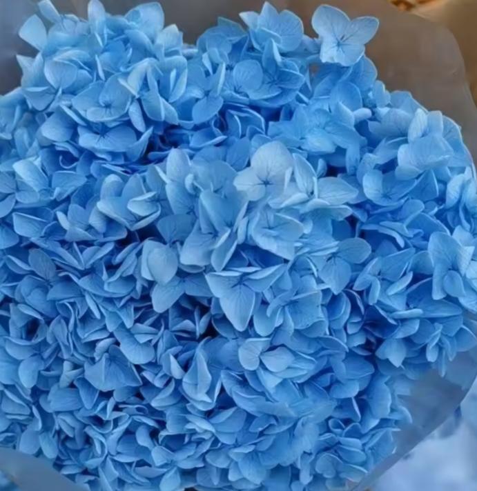 Bakewareind Dried Hydrangeas Leaves Preserved, Blue - Bakeware India
