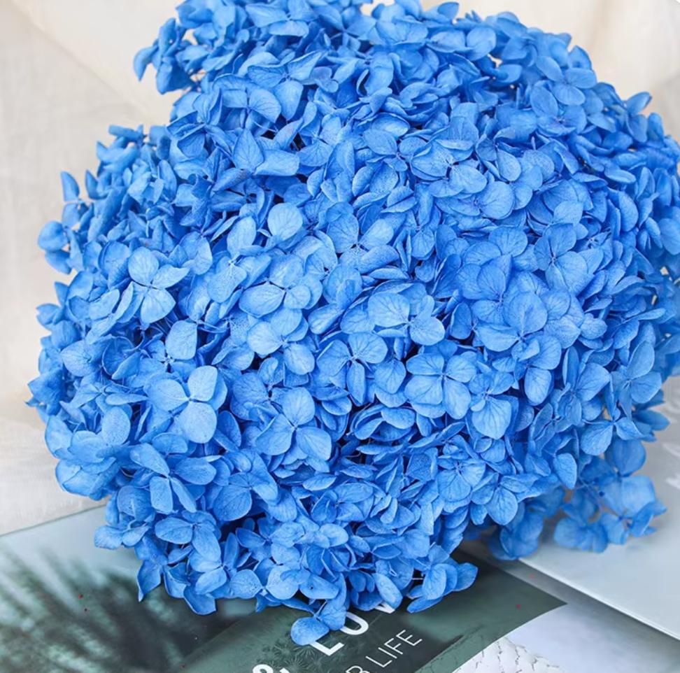 Bakewareind Dried Hydrangeas Leaves Preserved, Blue - Bakeware India