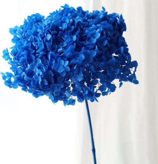 Bakewareind Dried Hydrangeas Leaves Preserved, Blue - Bakeware India