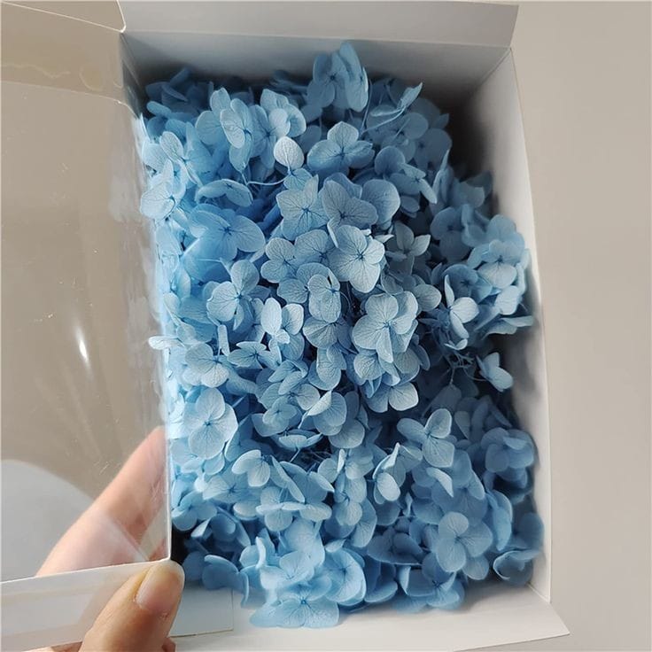 Bakewareind Dried Hydrangeas Leaves Preserved, Blue - Bakeware India