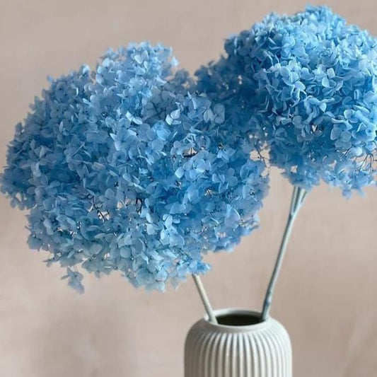 Bakewareind Dried Hydrangeas Leaves Preserved, Blue - Bakeware India