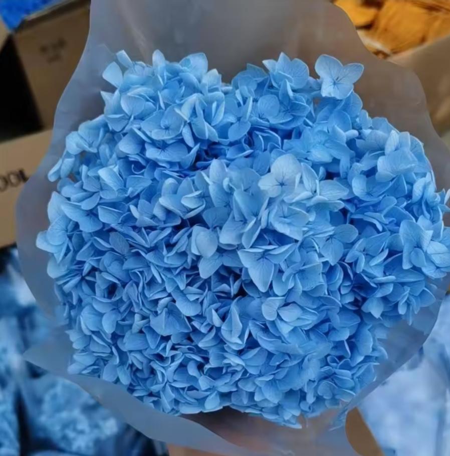 Bakewareind Dried Hydrangeas Leaves Preserved, Blue - Bakeware India