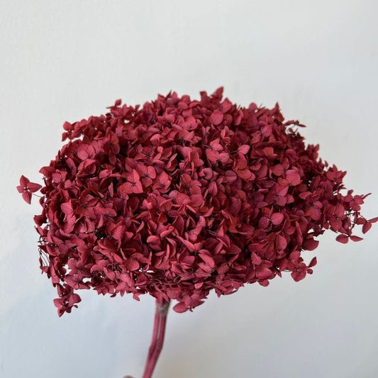 Bakewareind Dried Hydrangeas Leaves Preserved, Deep Red - Bakeware India