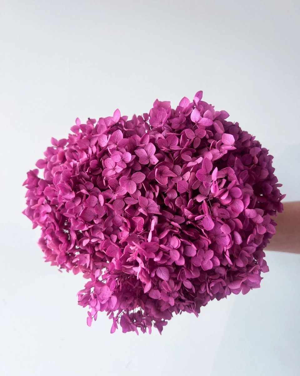 Bakewareind Dried Hydrangeas Leaves Preserved, Drak Pink - Bakeware India