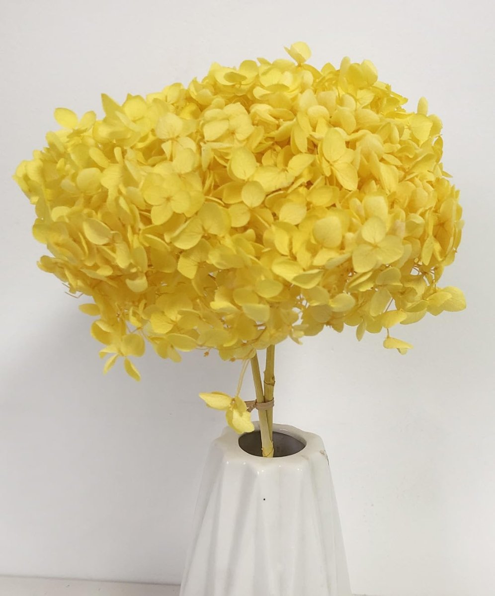 Bakewareind Dried Hydrangeas Leaves Preserved, Golden Yellow - Bakeware India