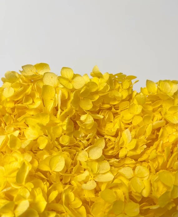 Bakewareind Dried Hydrangeas Leaves Preserved, Golden Yellow - Bakeware India