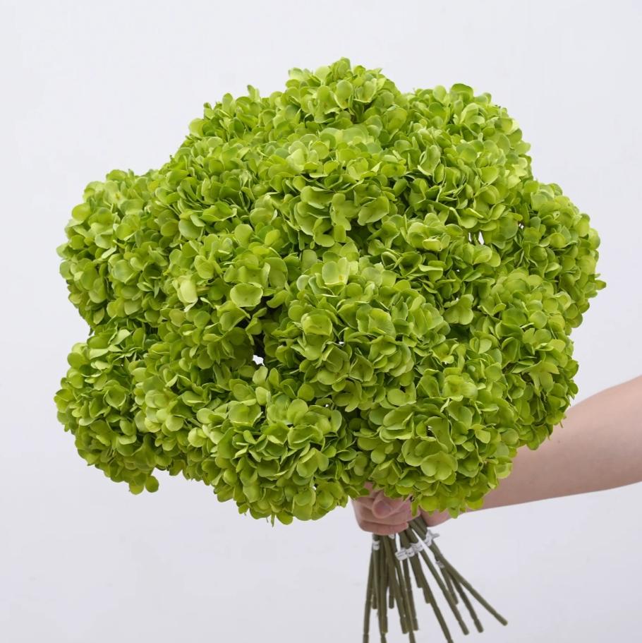 Bakewareind Dried Hydrangeas Leaves Preserved, Green - Bakeware India