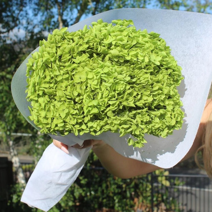 Bakewareind Dried Hydrangeas Leaves Preserved, Green - Bakeware India