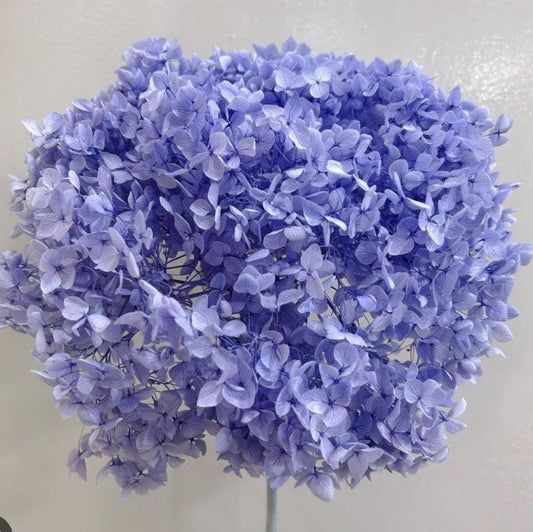 Bakewareind Dried Hydrangeas Leaves Preserved, Lavender - Bakeware India