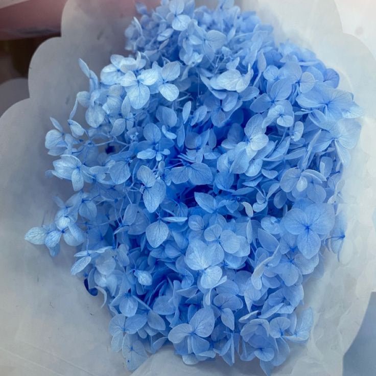 Bakewareind Dried Hydrangeas Leaves Preserved, Light Blue - Bakeware India