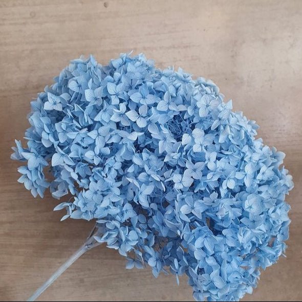 Bakewareind Dried Hydrangeas Leaves Preserved, Light Blue - Bakeware India