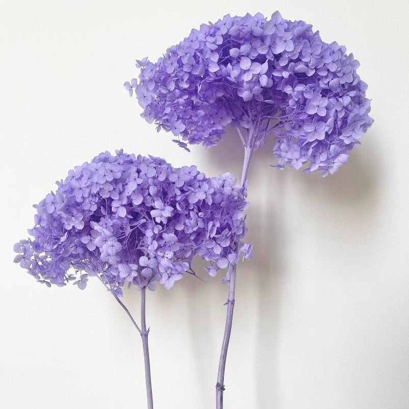 Bakewareind Dried Hydrangeas Leaves Preserved, Lilac - Bakeware India