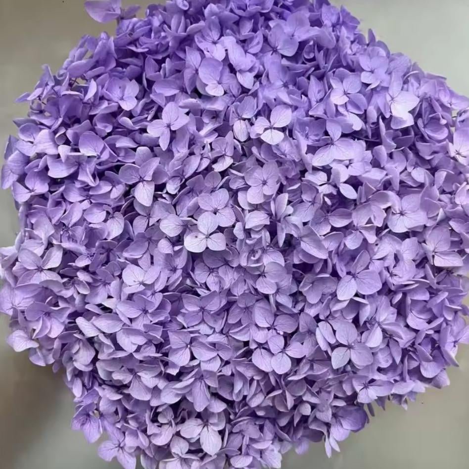 Bakewareind Dried Hydrangeas Leaves Preserved, Lilac - Bakeware India