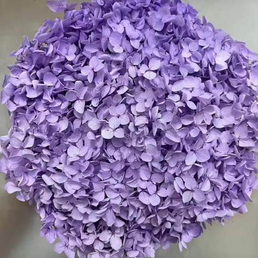 Bakewareind Dried Hydrangeas Leaves Preserved, Lilac - Bakeware India