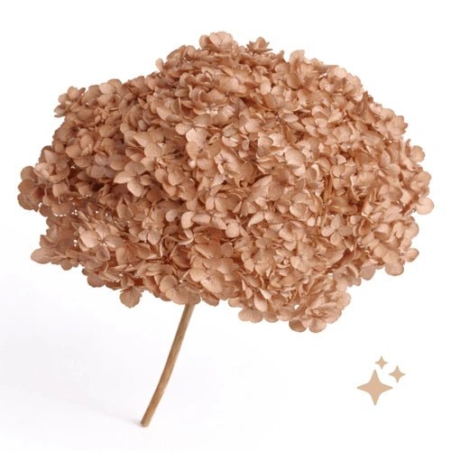 Bakewareind Dried Hydrangeas Leaves Preserved, Peach - Bakeware India